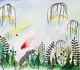 Shark in Wonderland