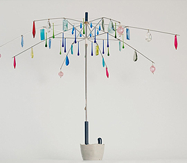 Wunderkammer #30